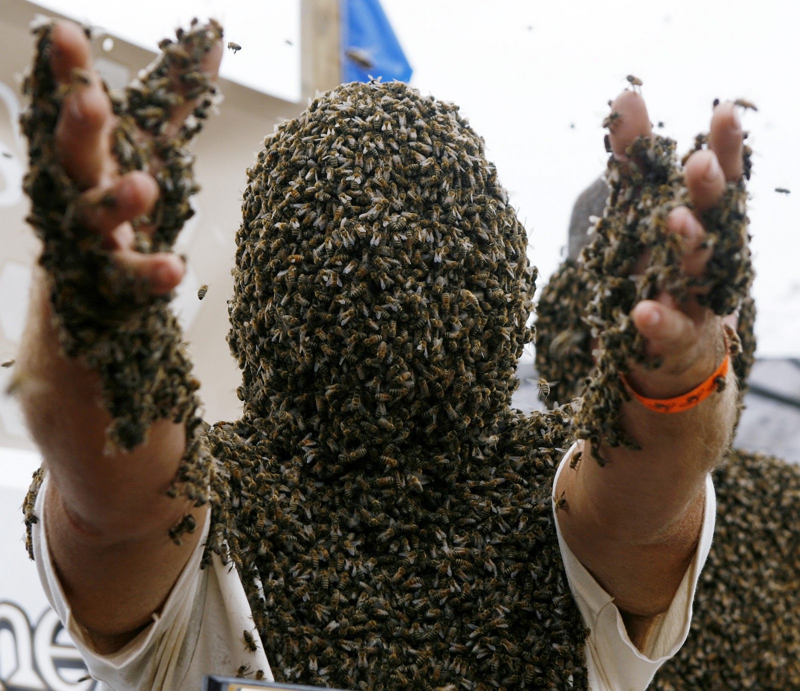Bee-Beard-man-covered-in-bees.jpg